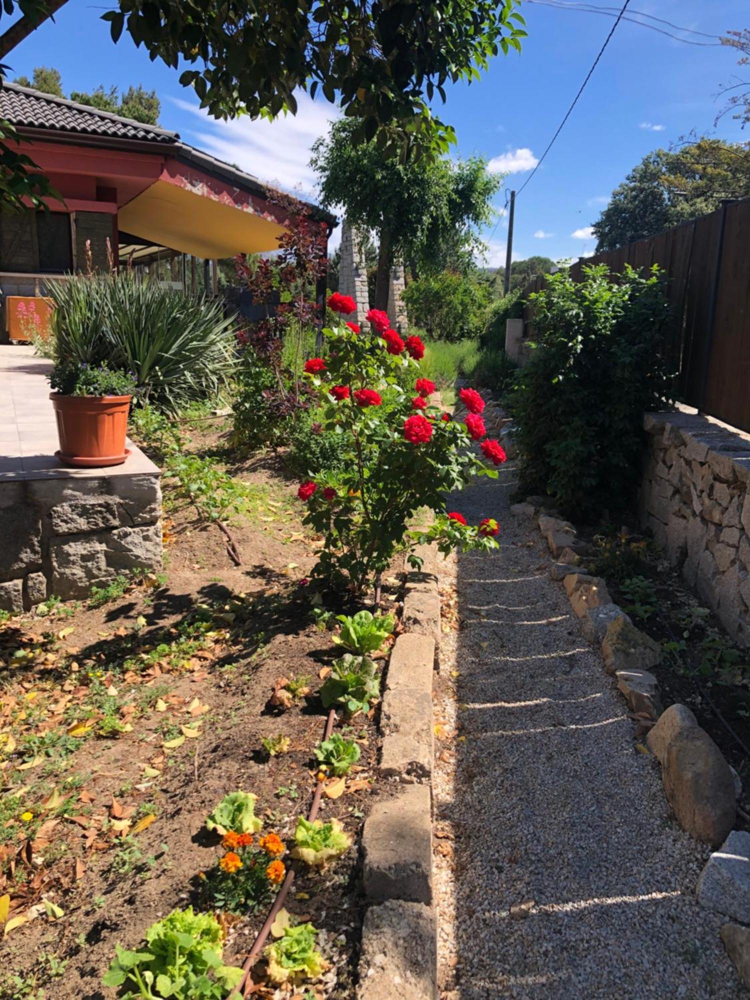 גואדאראמה Finca Lagloria מראה חיצוני תמונה